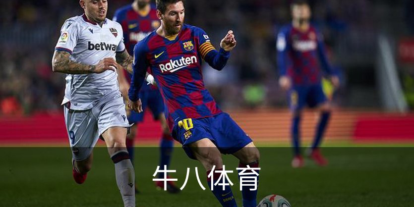 牛八体育简介
